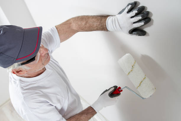 Professional Mold Removal in Elm Creek, NE