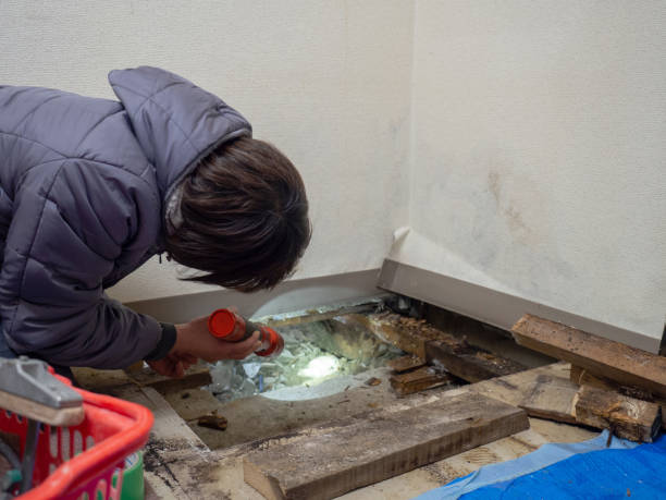 Best Residential Mold Inspection & Testing  in Elm Creek, NE