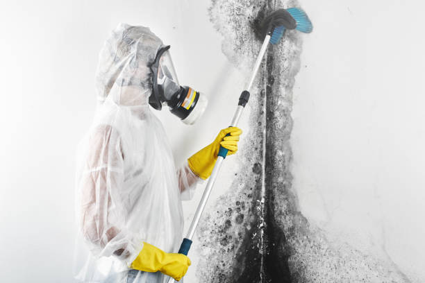 Dehumidification Services in Elm Creek, NE